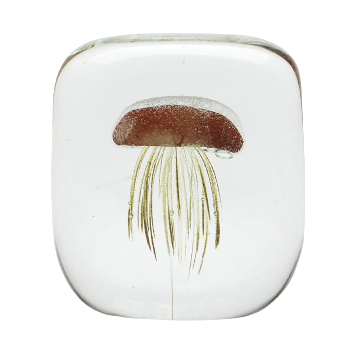 Jellyfish Paper Weight Square