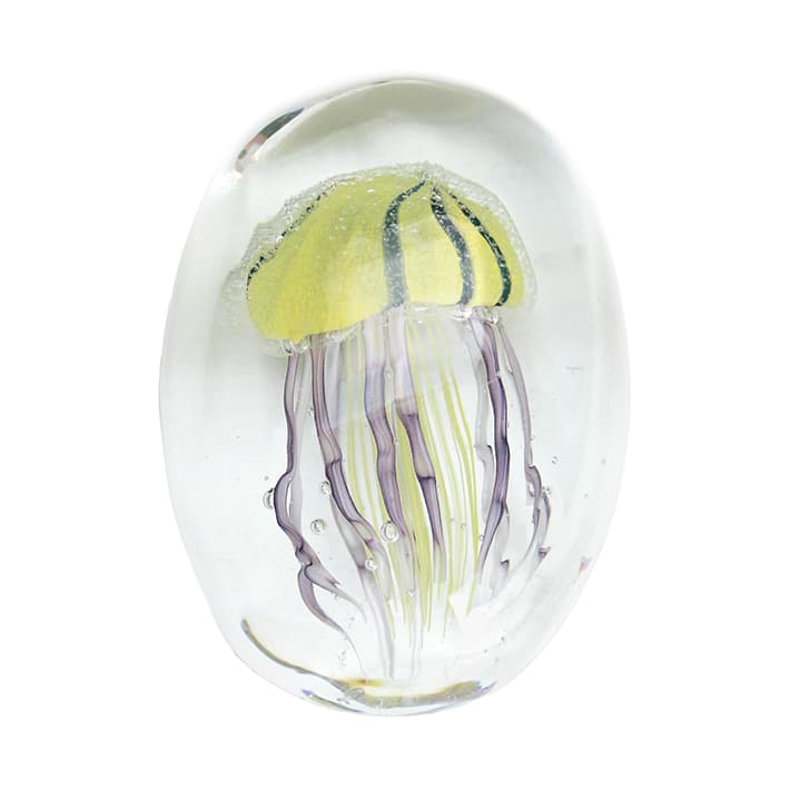 JELLYFISH TWISTED LEG Pebble/Yellow